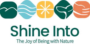 Sunlight Fills the Space